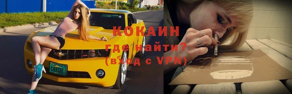 индика Абаза