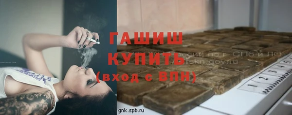 индика Абаза