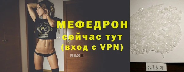 индика Абаза