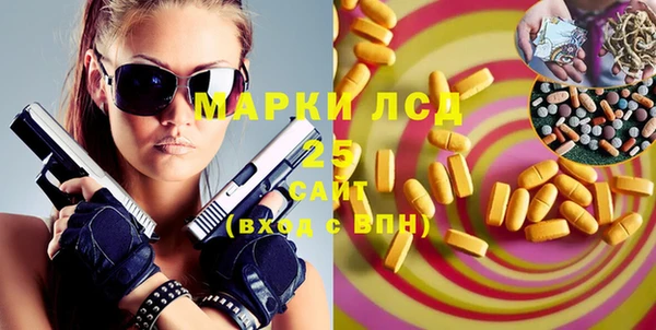 индика Абаза