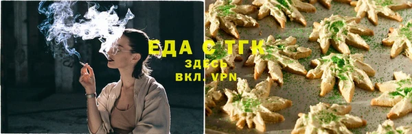 индика Абаза
