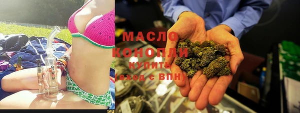 индика Абаза