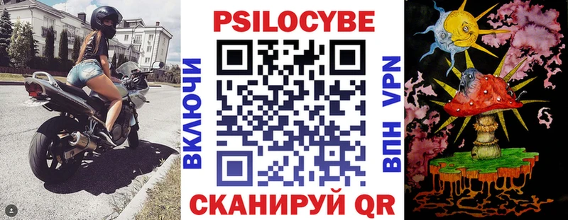 Псилоцибиновые грибы Psilocybe Челябинск